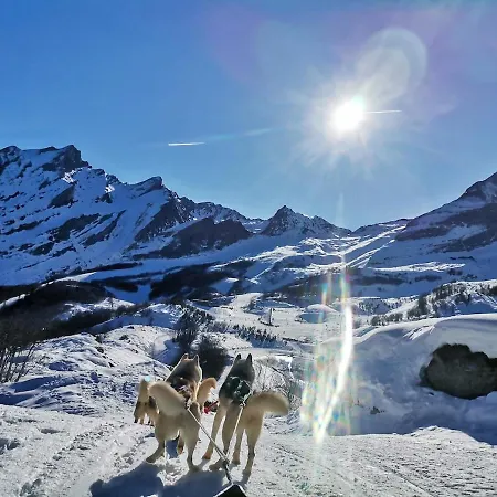 Wifi, Vue Sur Les Pistes Lejlighed